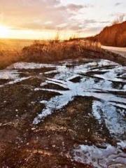 Cold-hearted Inkapos