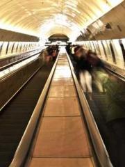 Super husband Lin Xi