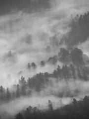 Bodhisattva of Compa