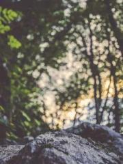 Grandpa Fuapos;s Ful